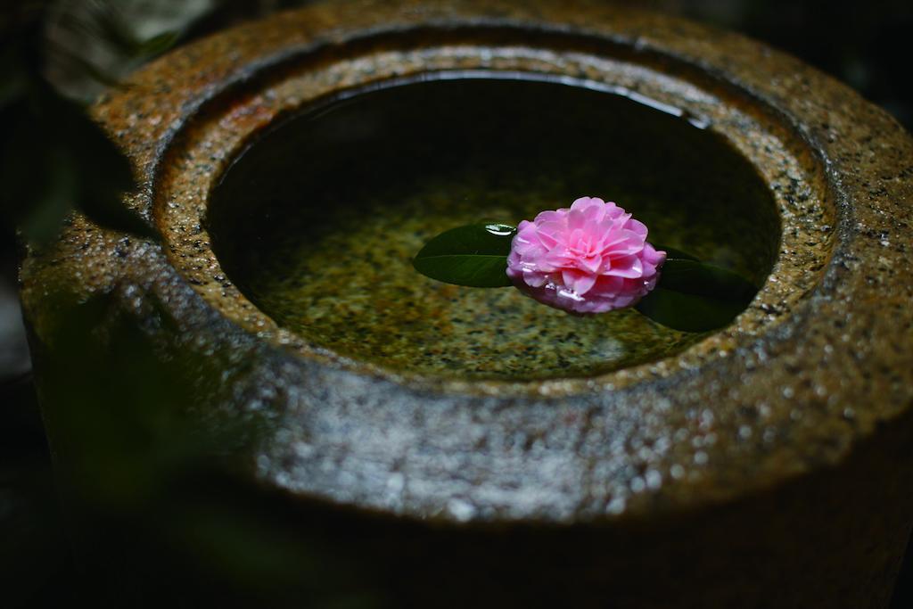 Matsui Honkan Kyoto Luaran gambar